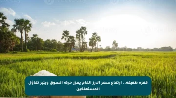 قفزة طفيفة.. ارتفاع سعر الأرز الخام يعزز حركة السوق ويثير تفاؤل المستهلكين